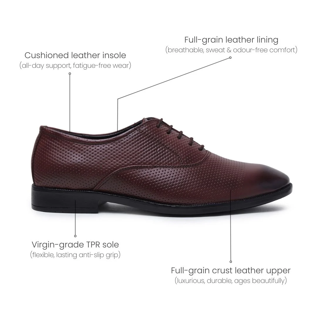 Troy Oxford Shoes – Brown Perforated Genuine Leather Men’s Office Shoes - Image 5